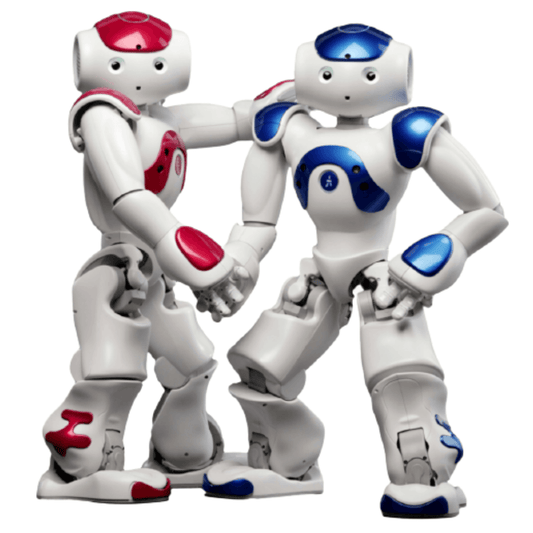 ProMotion Smart Robo Toy Set